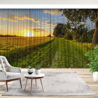 Fotovorhang: Weizenfeld