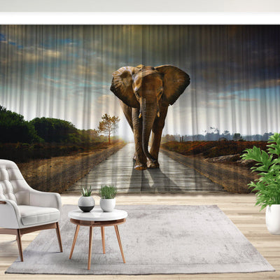 Fotovorhang: Der Elefant