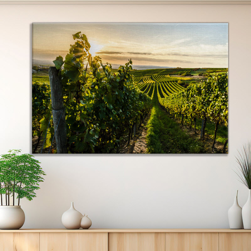 Leinwand mit Motiv: Weinberg