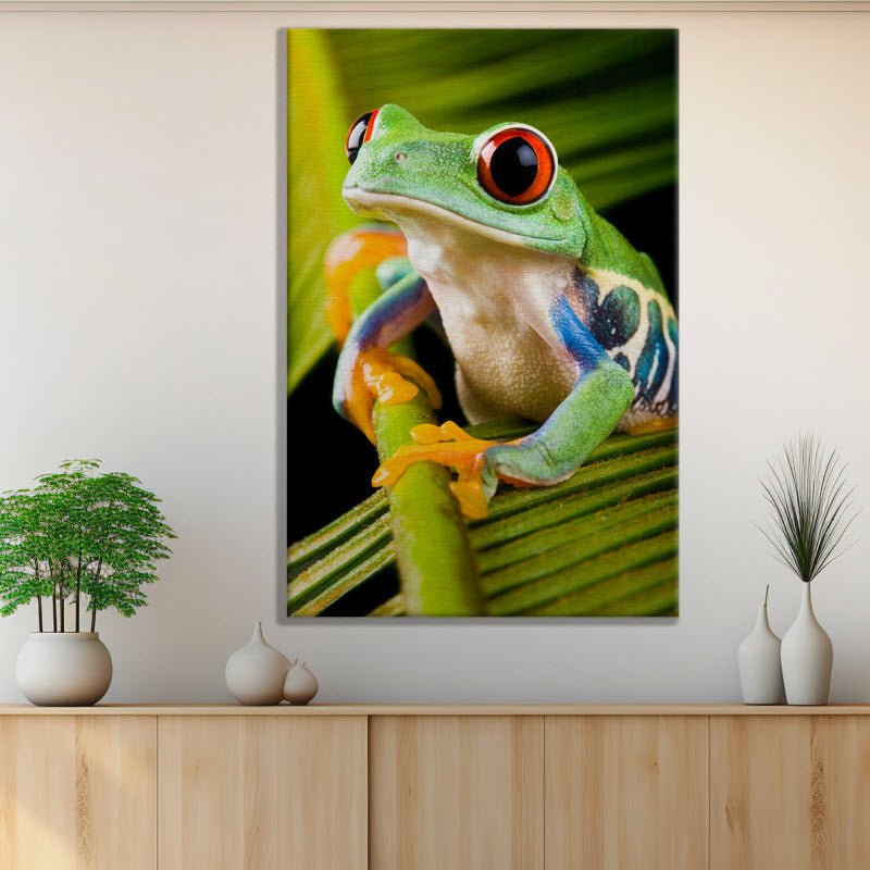 Leinwand mit Motiv: Frosch auf Pflanze