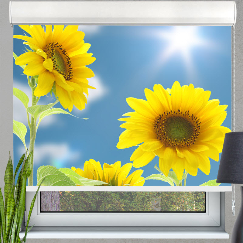 Kassettenrollo mit Motiv: Sonnenblumen mit Sonnenschein