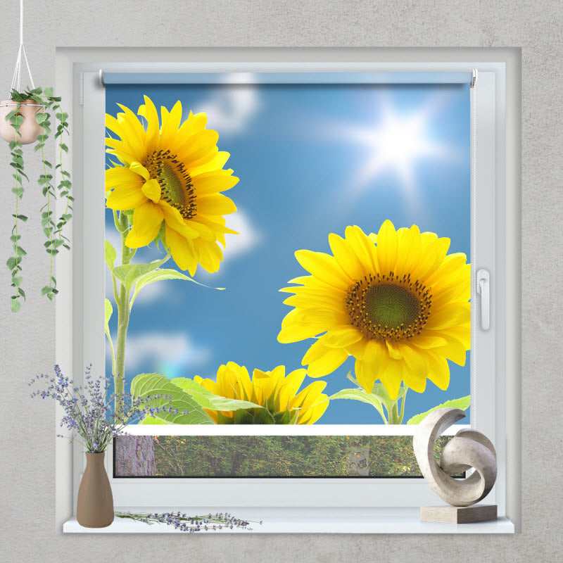 Klemmfix Rollo mit Motiv: Sonnenblumen mit Sonnenschein