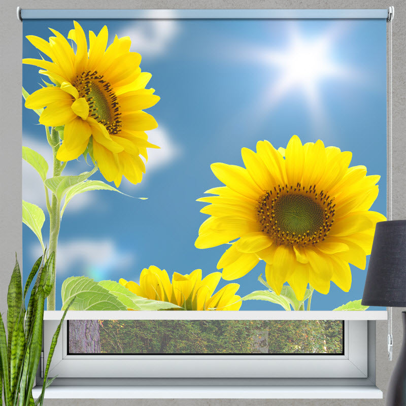 Rollo mit Motiv: Sonnenblumen mit Sonnenschein