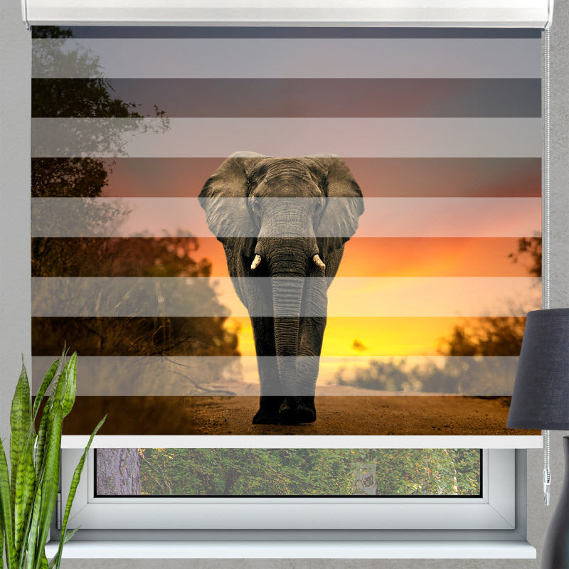 Doppelrollo mit Motiv: Elefant Sonnenuntergang