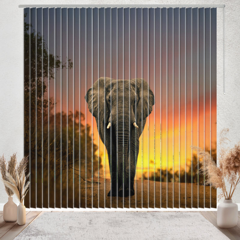 Lamellenvorhang mit Motiv: Elefant Sonnenuntergang