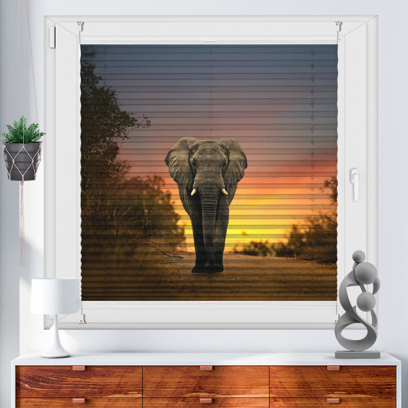 Plissee mit Motiv: Elefant Sonnenuntergang