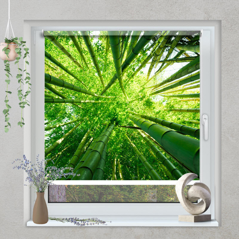 Klemmfix Rollo mit Motiv: Grüne Bambusse