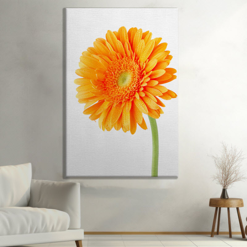 Leinwand mit Motiv: Orangene Gerbera