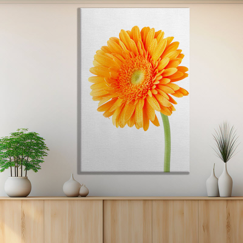 Leinwand mit Motiv: Orangene Gerbera