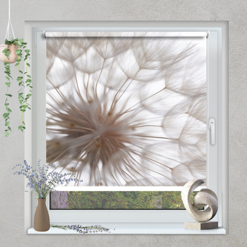 Klemmfix Rollo mit Motiv: Pusteblume V3