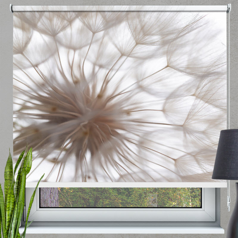 Rollo mit Motiv: Pusteblume V3