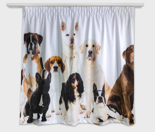 Fotovorhang mit Hunde Motiv 130 cm