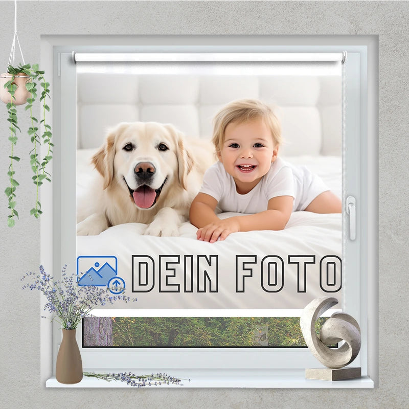 Klemmfix Rollo mit Motiv