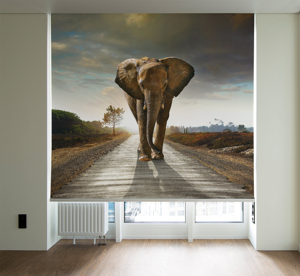 Fotorollo in einer Nische, bedruckt mit einem Elefant Motiv